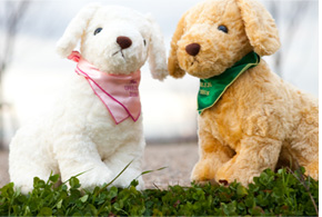 犬ウェイトドール ビズー商品写真