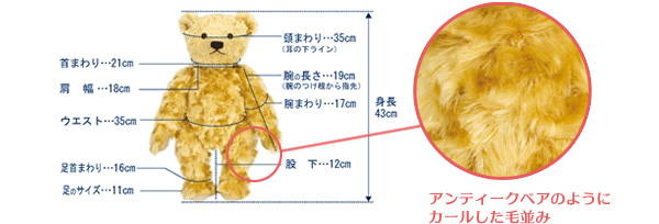 アンティークベアのように カールした毛並み